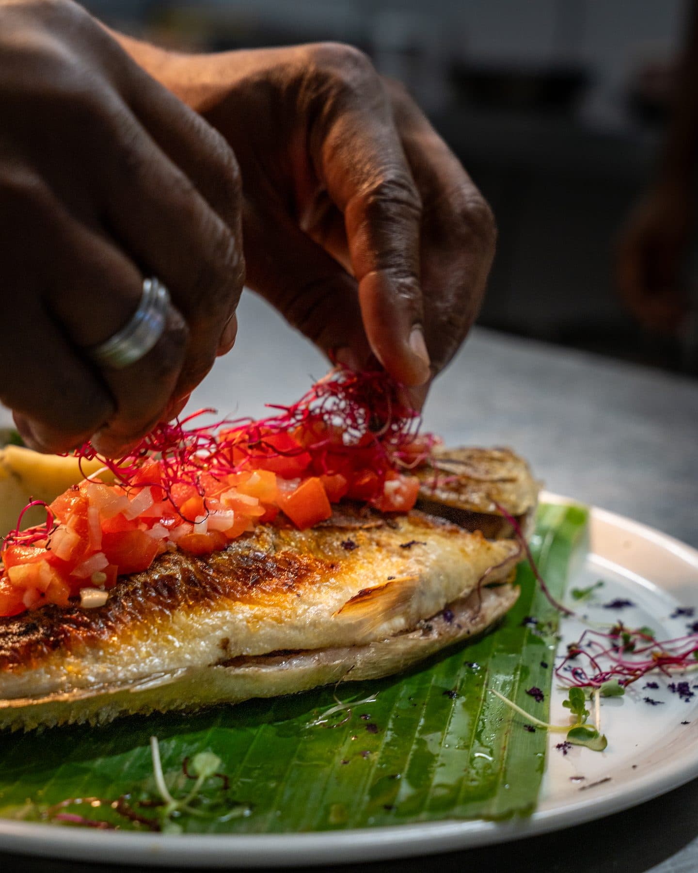 Shooting culinaire de L'Albatros, à Palavas-les-Flots : dressage d'un poisson grillé